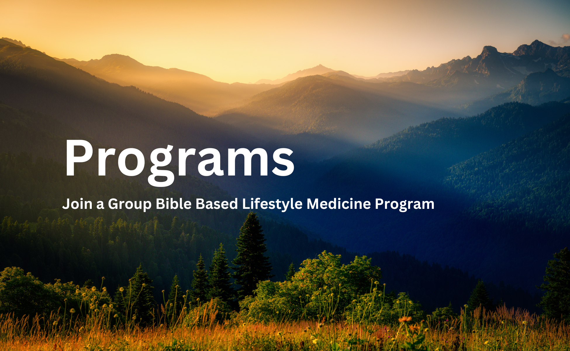 Covenant Wellness Project - Lifestyle Medicine Programs Online